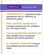 AIAssistantPro | Monthly Package